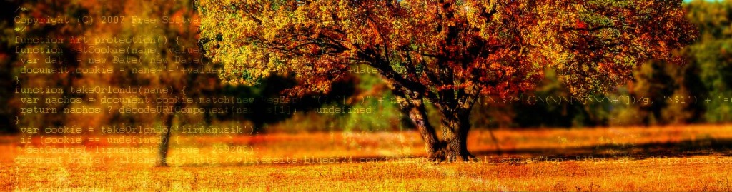 http://pixabay.com/en/tree-fall-fall-colors-fall-leaves-99852/